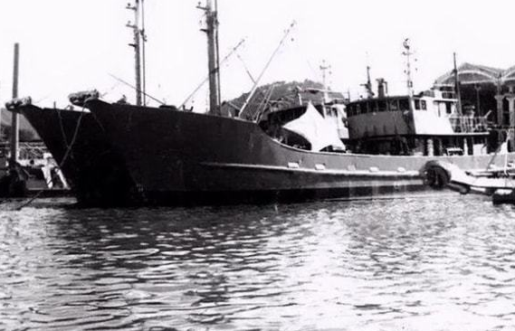 54�꣬�������ֱ�̨�����ٳ֣������ɽ�����������أ������Σ�