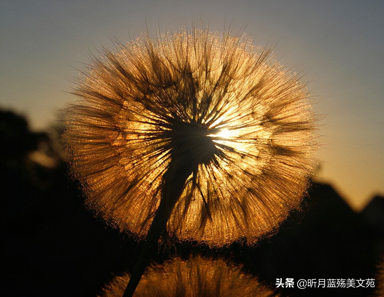 一生念你，爱你不悔，致牵挂的你