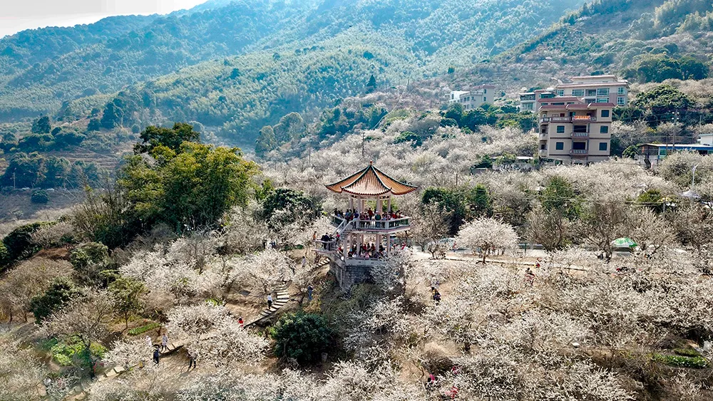 2022跨年合集!18种玩法,不用请假、用满满仪式感迎接2022