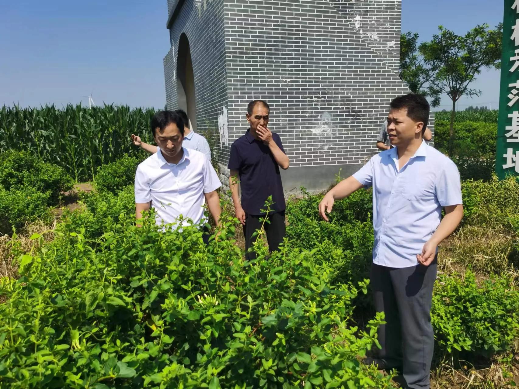 中科院雄安创新研究院--红泉食品科技（河北）公司联合实验室签约