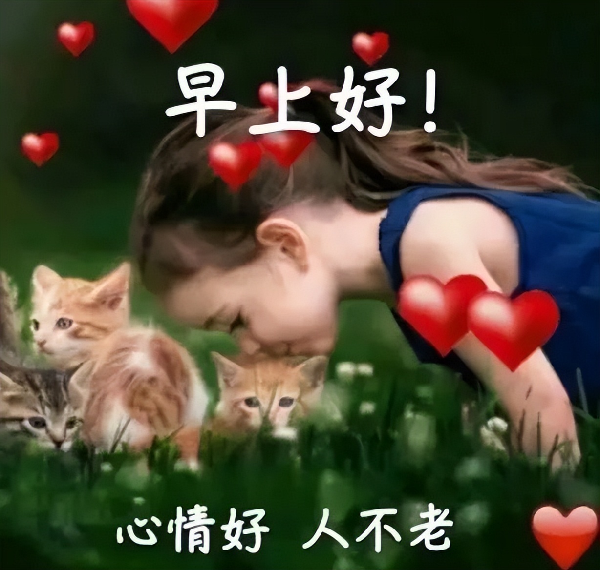 漂亮的早上好问候语动画表情图片 祝你心情好没烦恼 平安健康日日好图片