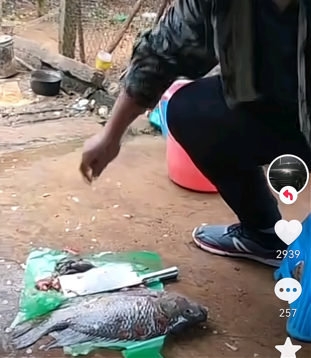 全红婵回家吃饭！哥哥在母亲节准备美食，妈妈翘二郎腿满脸期待