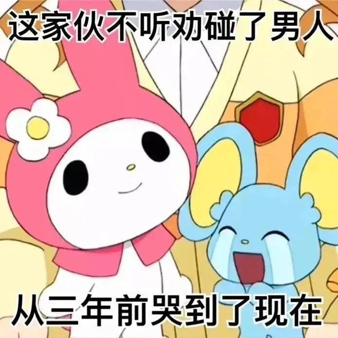 今日份表情包来啦