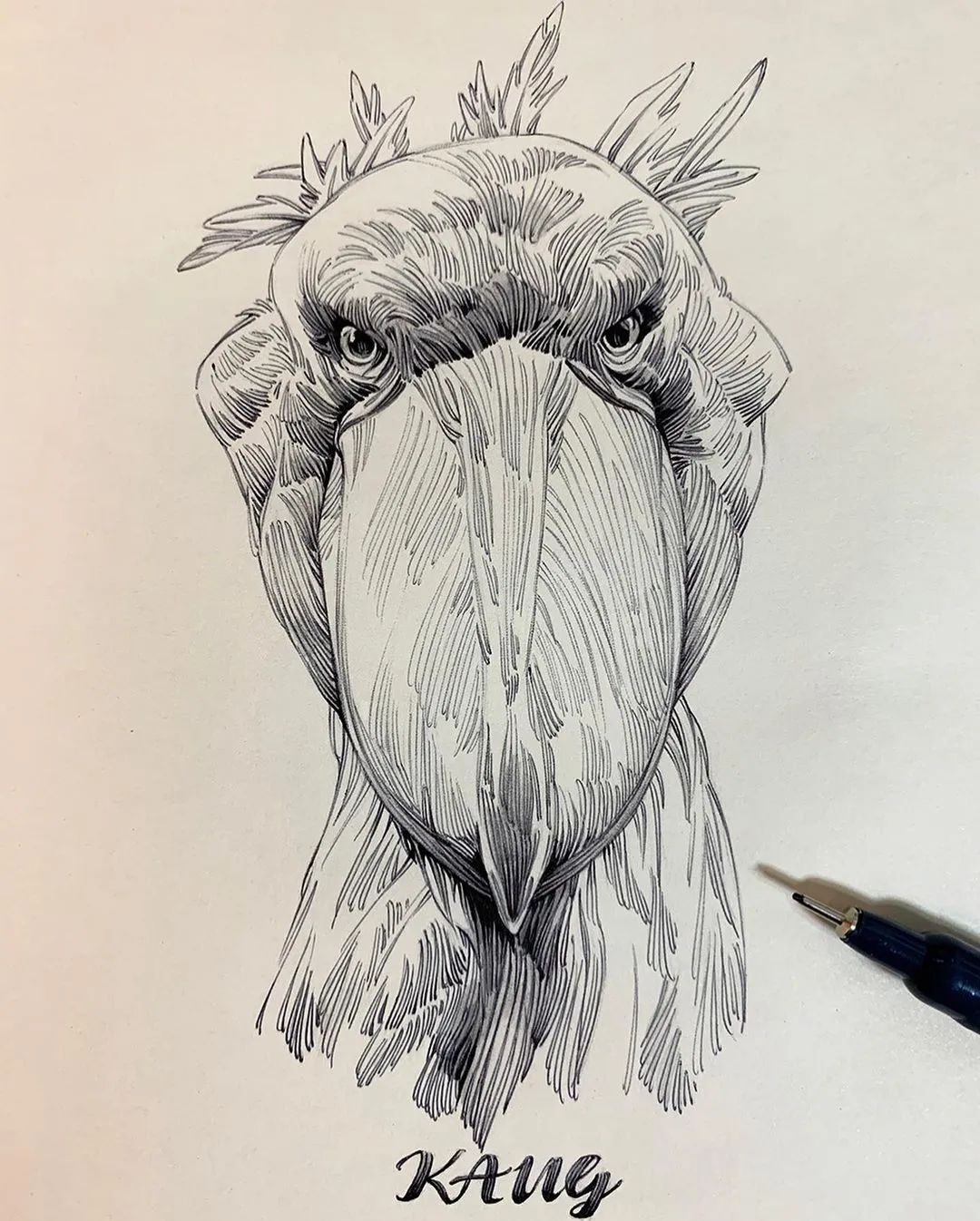 动物线描就该这样画(动物线描怎么画) - 趣味头条