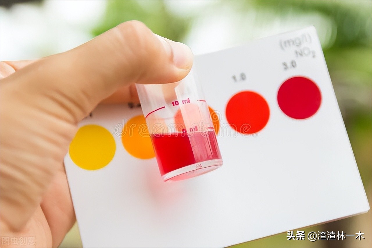 5一看就是真的知，居然是假的