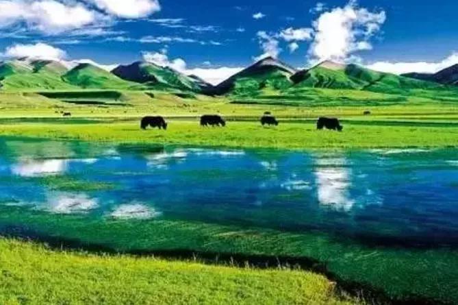 美丽的草原，我来了