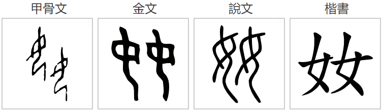 奻怎么读？奻的读音和意思