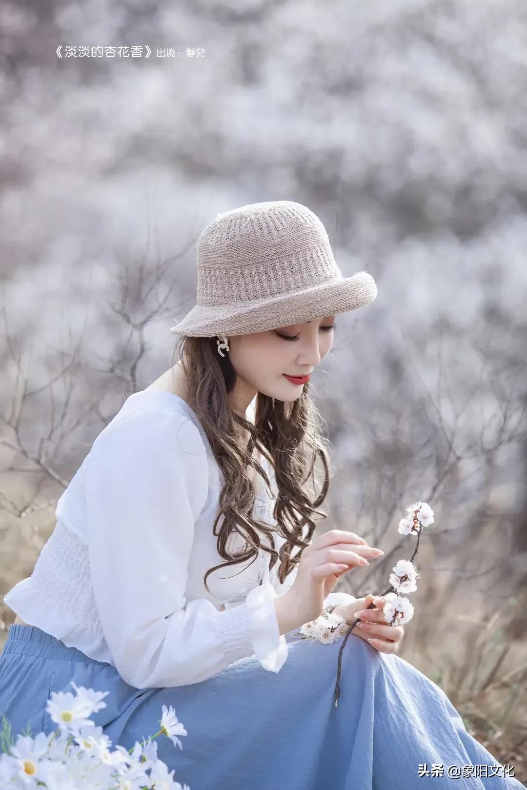 图说故事：《淡淡的杏花香》「149」