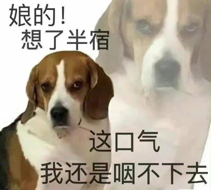 我只是个小孩子，别要求这么多