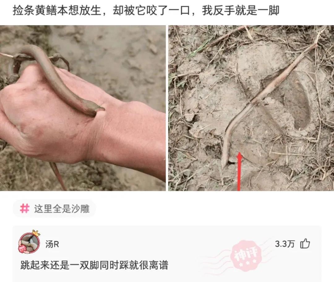 神回复：三个人打牌被抓，你猜是谁输了？神评笑死你