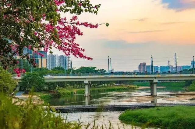 深圳北站附近旅遊景點(適合冬天遊玩的深圳八大免費特色公園) - 悅聞