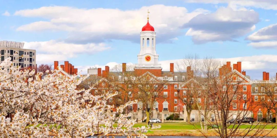 压力最大的美国大学top50！只要有头发，我就还能学