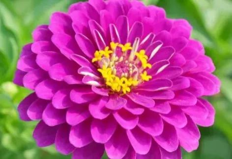 春天里，春风得意马蹄疾，一日看尽长安花