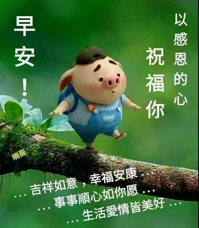 阳光周末早晨好图片动态大全，早安朋友，感谢一路有你陪伴图片