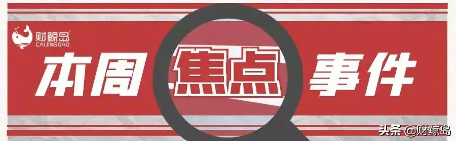 新经济周刊第十二期