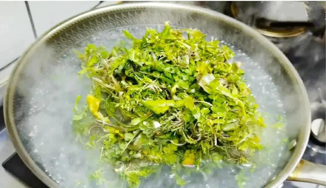 这“3菜2果”天然叶酸高！中老年人春天要多吃，顺应节气吃出健康