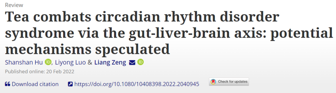 科学家推荐一个熬夜的补救方法：泡杯茶