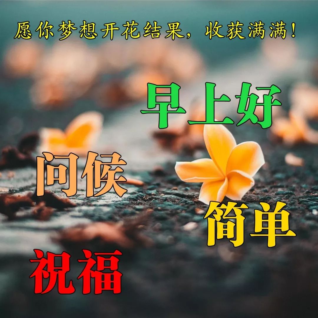 早上好问候图片和早晨好文字 只有学会苦中作乐 才能收获心之甘甜图片