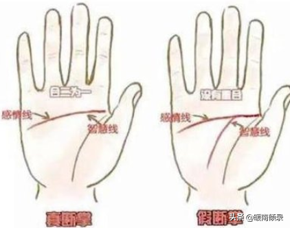 手相“男人断掌千斤两，女人断掌过房养”是什么意思？有啥说法