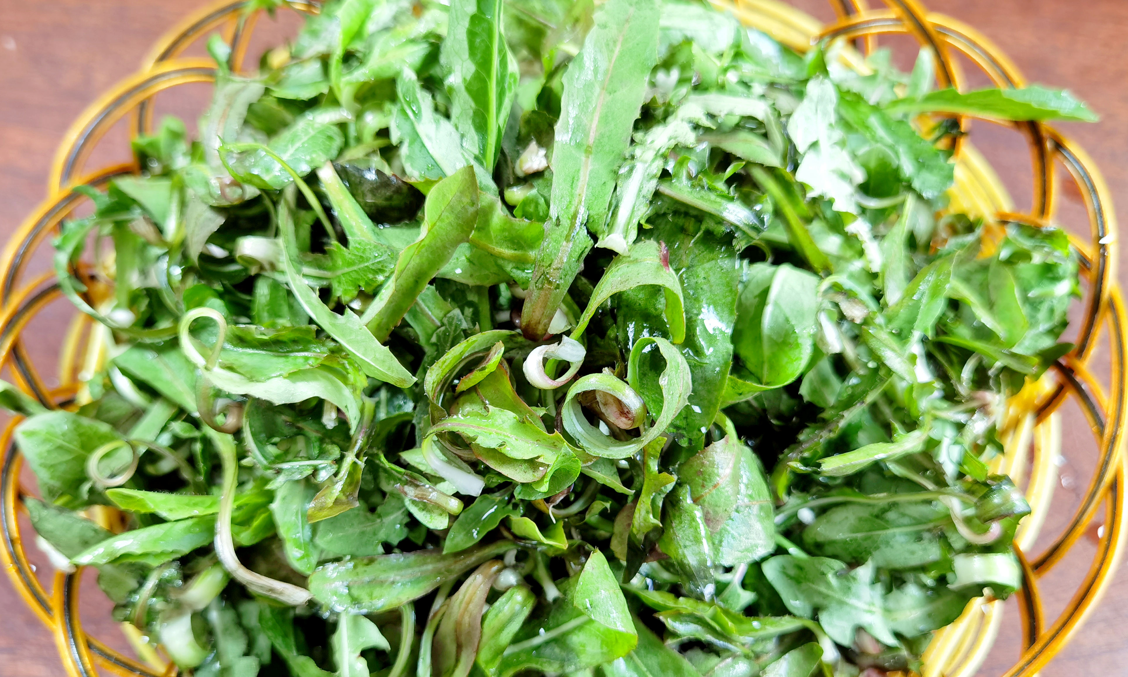 蒲公英吃法(蒲公英怎么吃法最好)