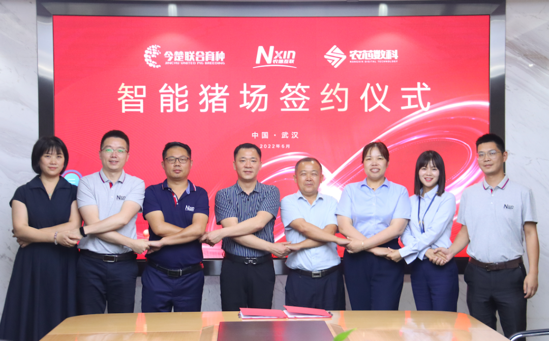 融数智·创未来 | 农信互联与今楚联合育种签署智能猪场合作协议