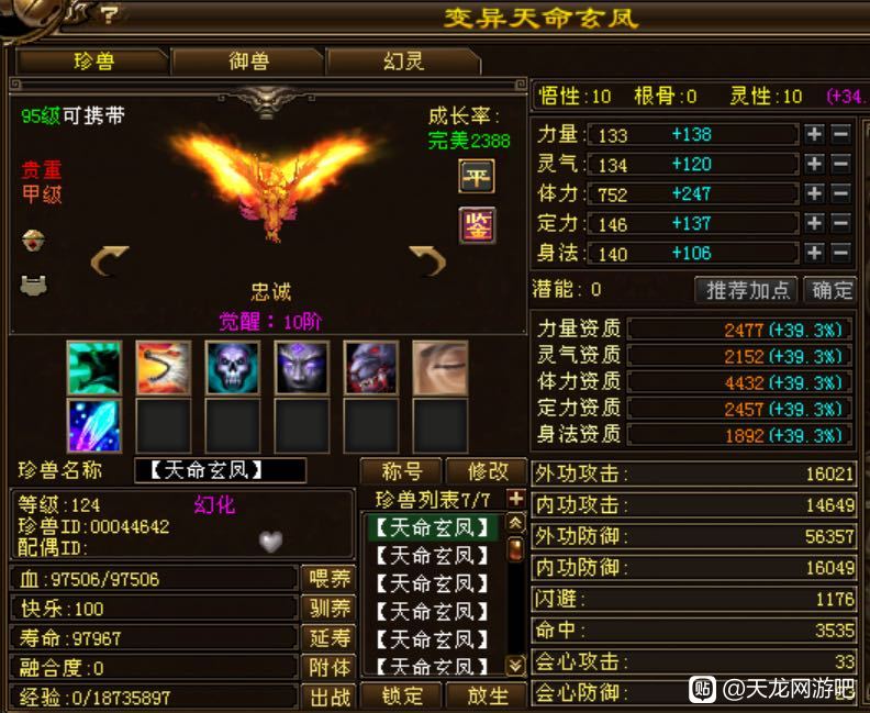 天龙：顶级宝宝收藏家，收藏了156只顶变稀有宝宝，7级号都不换