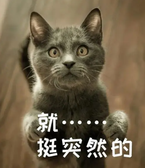 马桶迎来高光时刻，被学生当成洗碗机，场面一度有些失控