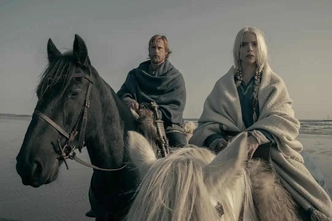 2022[动作/奇幻/冒险][北欧人/The Northman]百度云高清下载图片 第3张