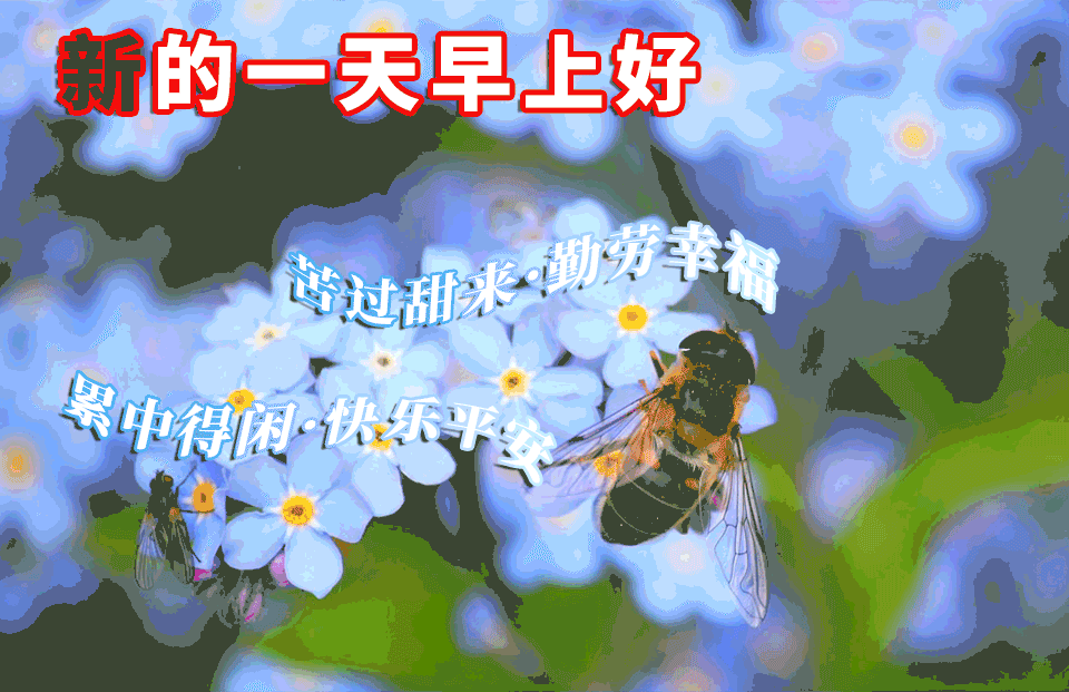 朋友圈新版早安祝福句子 笑一笑，人生不一样图片