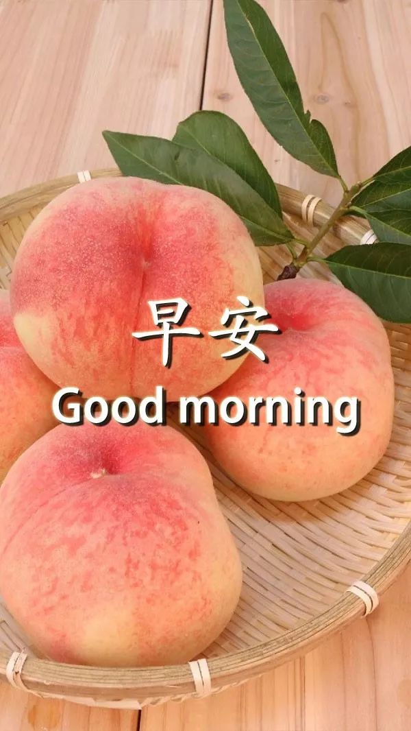 唯美早上好图片问候语动态精选 愿你生活甜如蜜，每天有个好心情图片