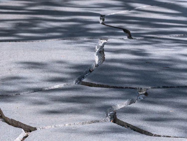 宋书雅境，人文逸兴 