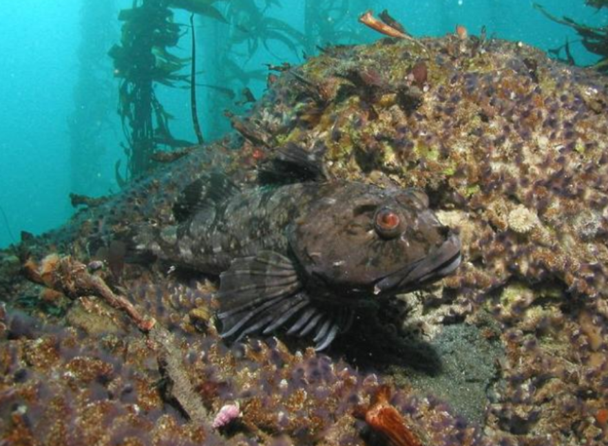 Ӷǵˮຣ2000๫Ϊš