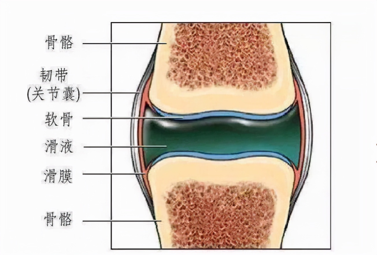 关节咔咔响，是疾病前兆？几种原因和对策，医生详细告知您