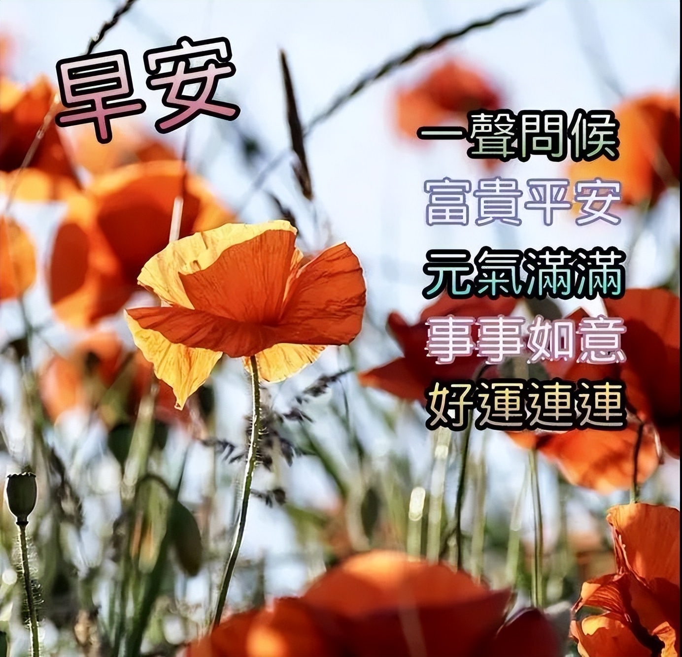早上好表情包动图更新，天天开心，平安顺心，一笑解千愁图片