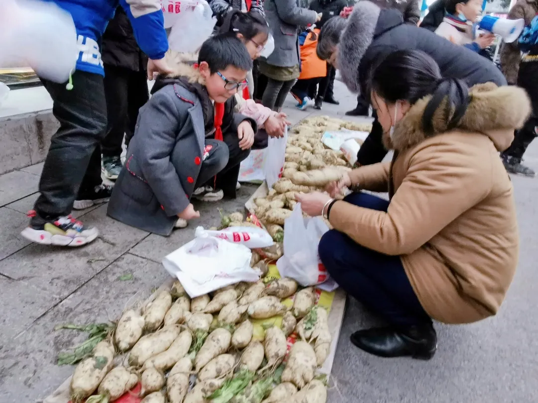 「城南小学•德育工作」小基地大收获 劳动实践快乐多