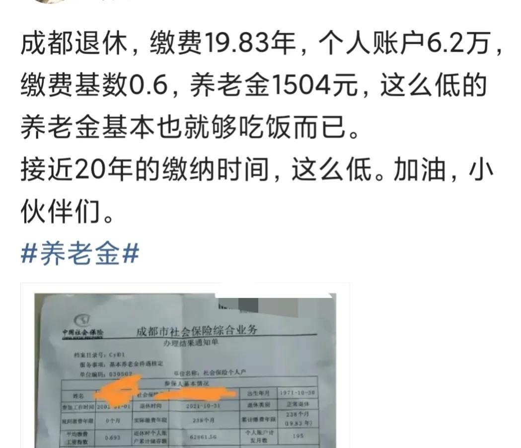 缴纳养老保险近20年，养老金只有1504元，究竟是怎么算的？亏吗？