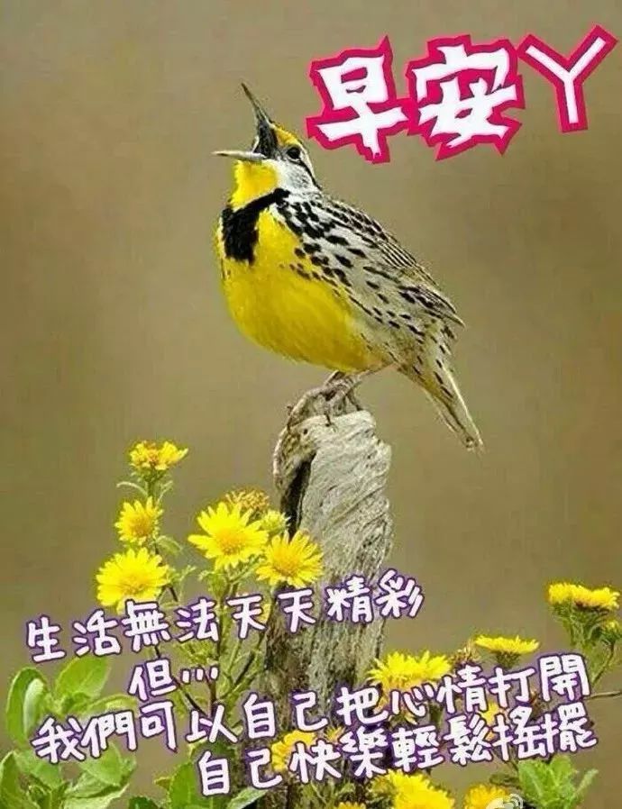 新的一天早安心情说说句子 心素如简，人淡如菊 君子相交，随方就圆图片