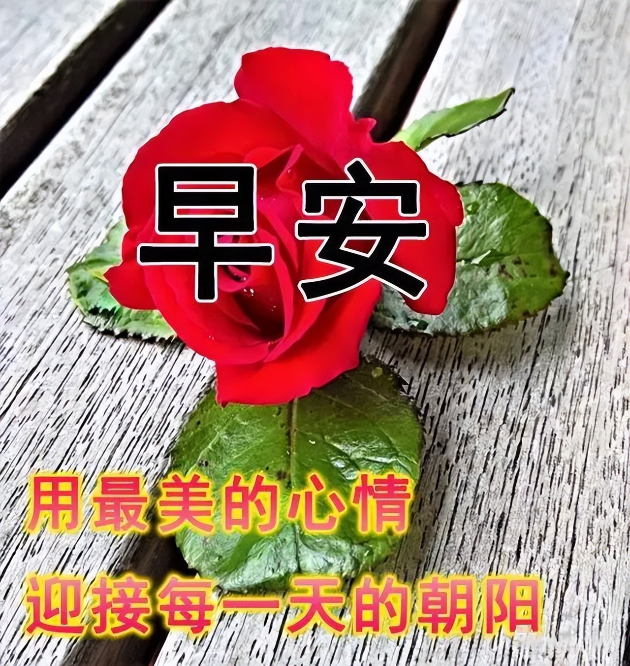 朋友圈唯美早上好微信动态表情图片 早安吉祥、平安顺心图片