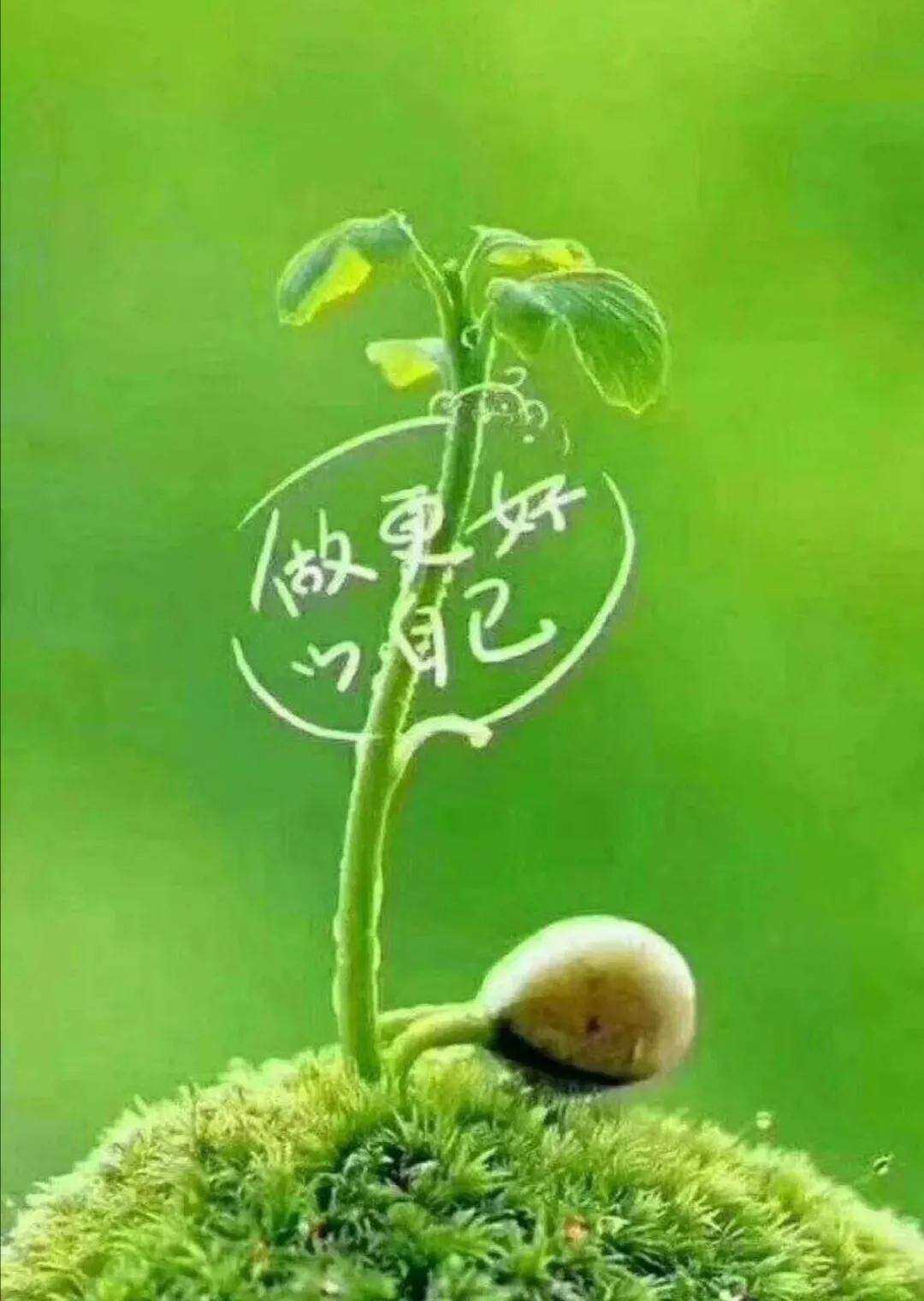 致自己（与你共勉）