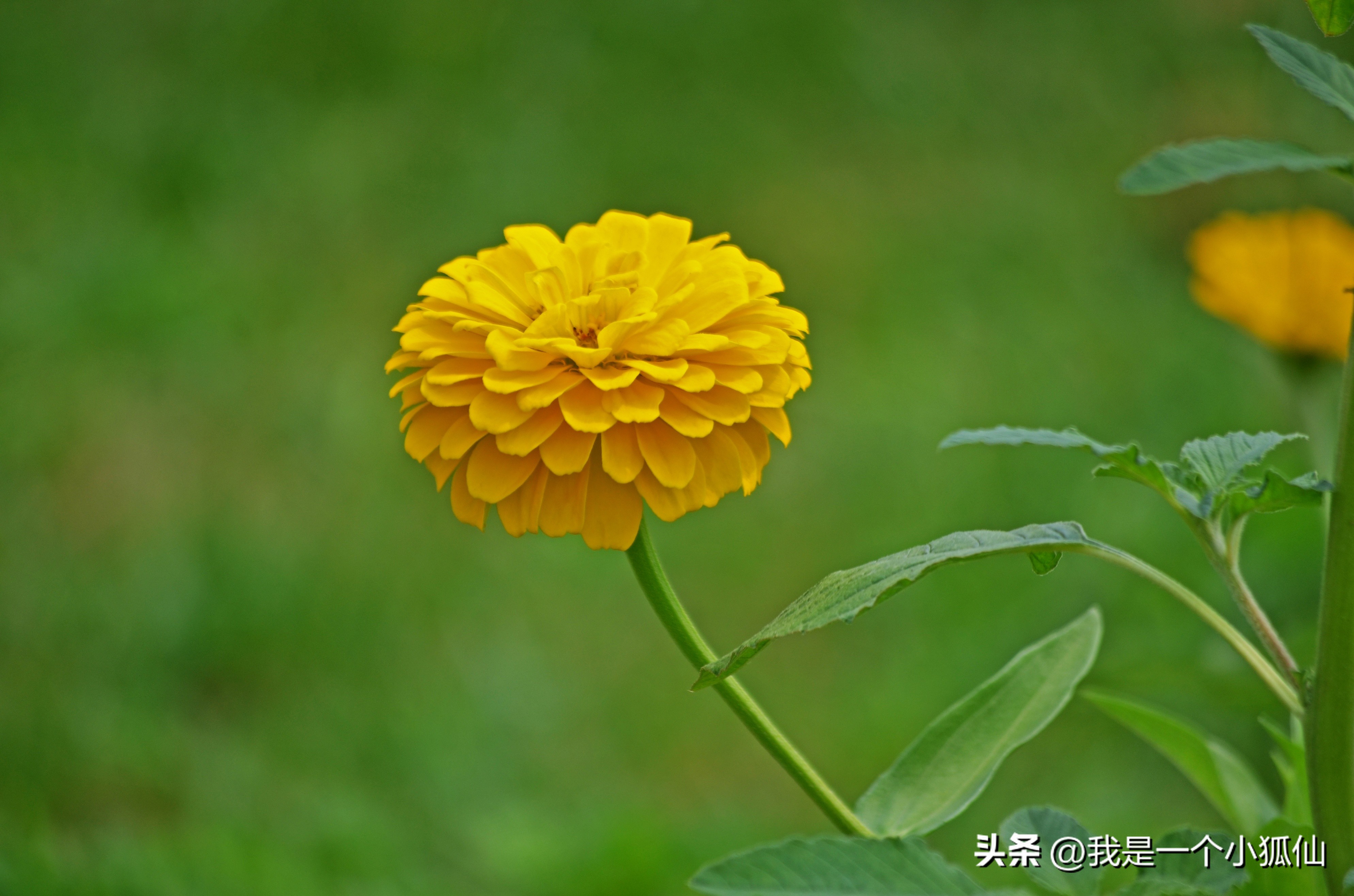 现在最好的拍照手机还是不是iphone(现在最好的拍照手机还是不是iPhone)
