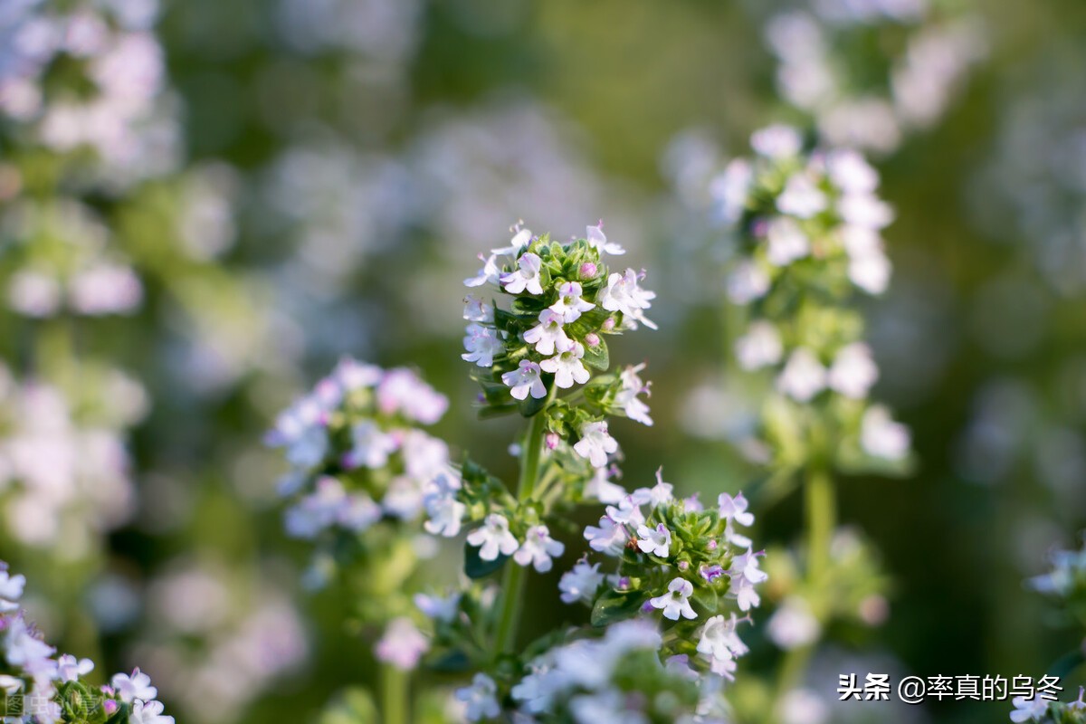 学习笔记里的名言警句