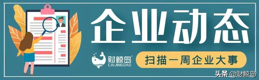 新经济周刊第十二期