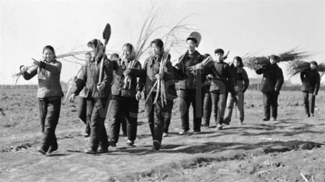 大连知青王冬梅：壮美的青春献给了草原