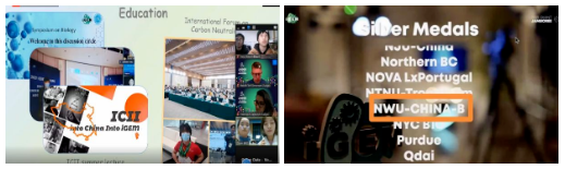 院系篇丨西北大学化工学院