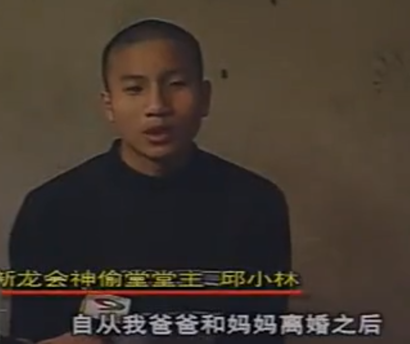 2001年四川5人成立新龙会，3个月发展近百成员，设神偷堂专偷农民