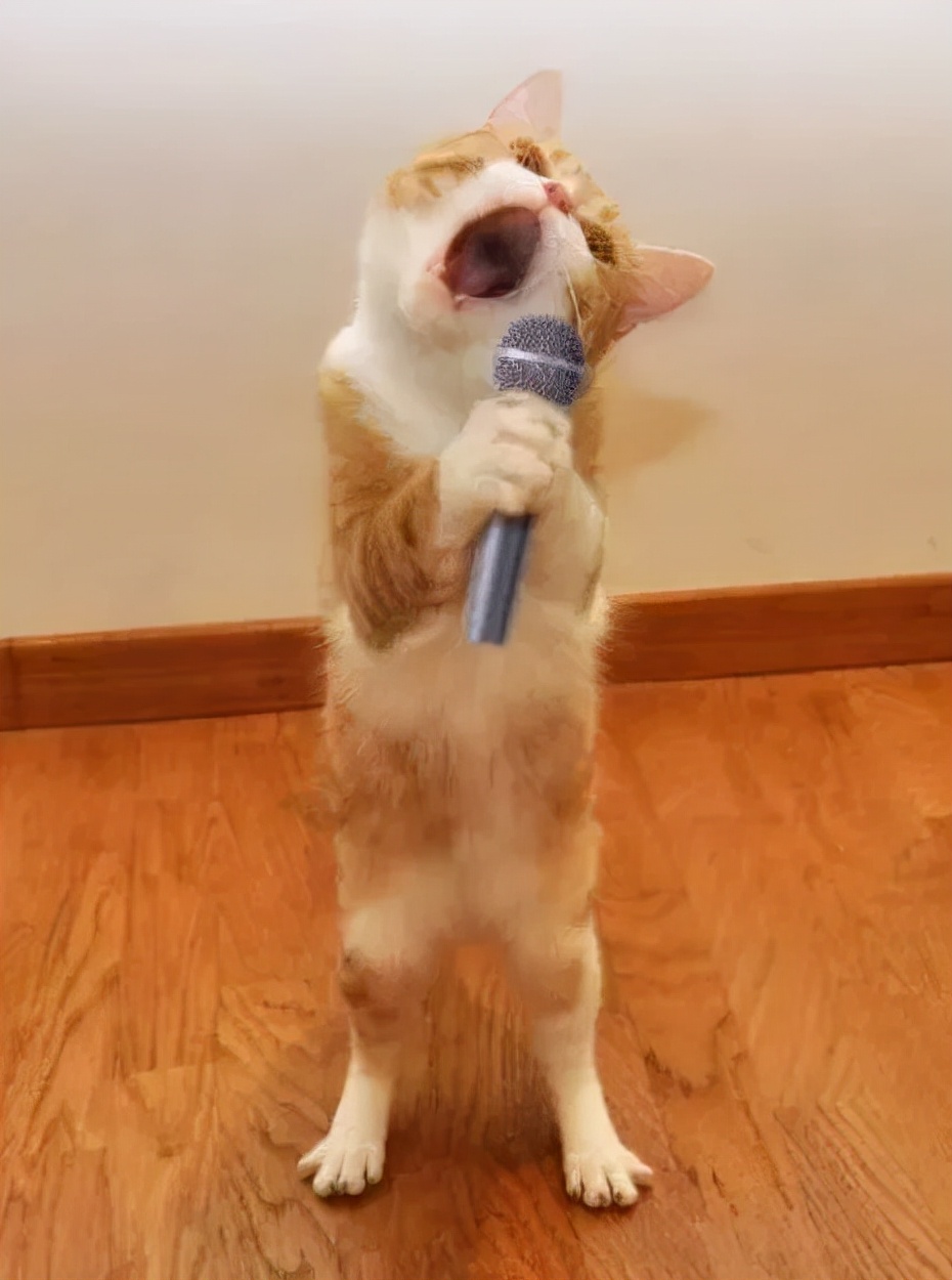 关于激动的心情说说配图「搞笑」 _qq说说网