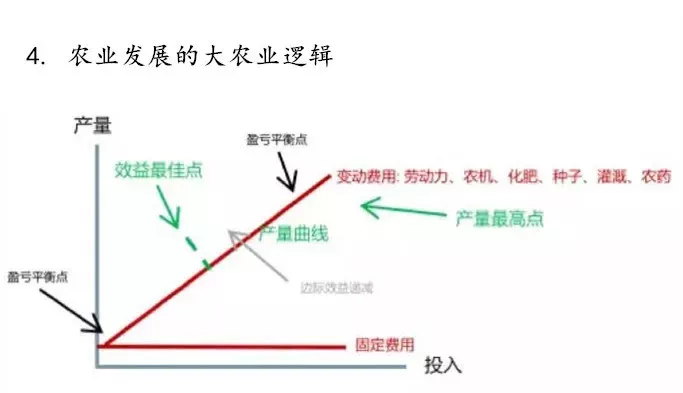 深度：支撑新时代现代农业发展的六大底层逻辑