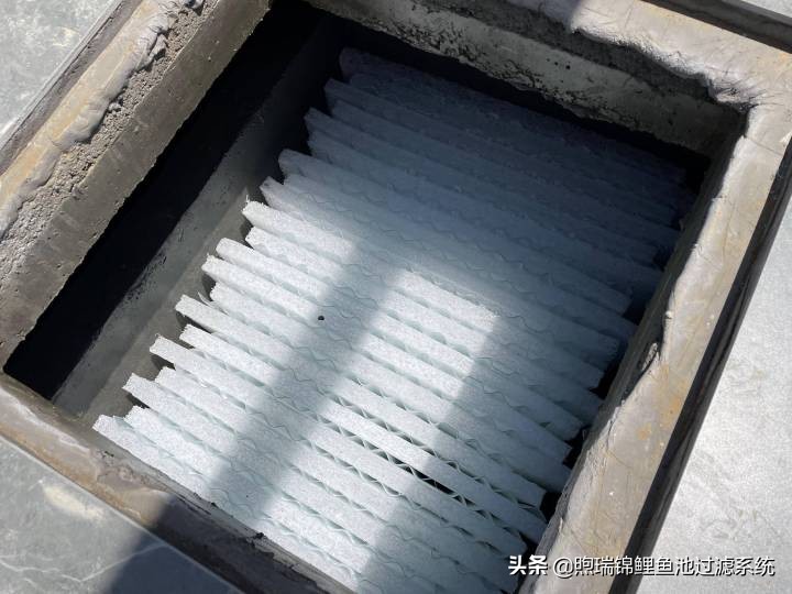 煦瑞生态水如何把拆除的旧池建造成标杆鱼池？鱼池过滤系统揭秘