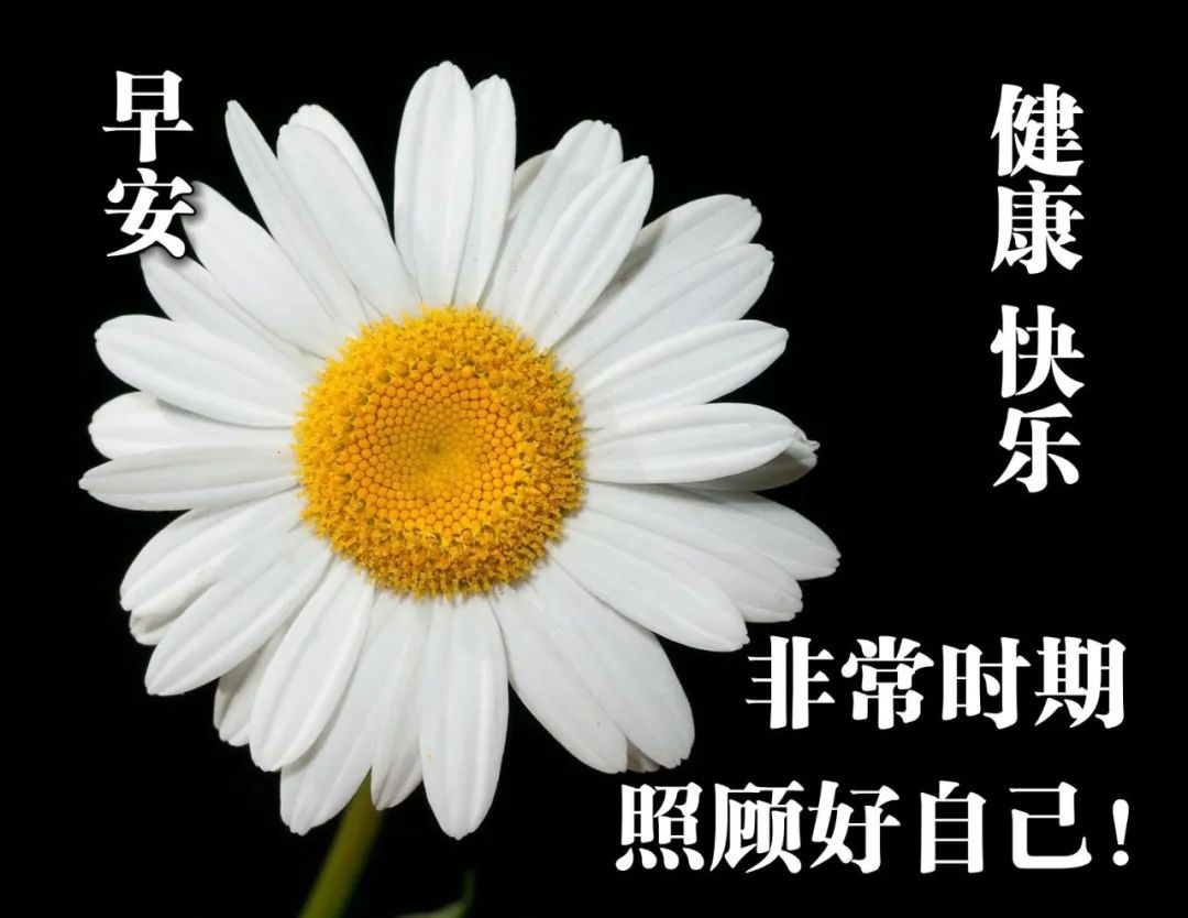 周日清晨暖人心的早上好问候语 一份友情，彼此永远珍藏在心底图片