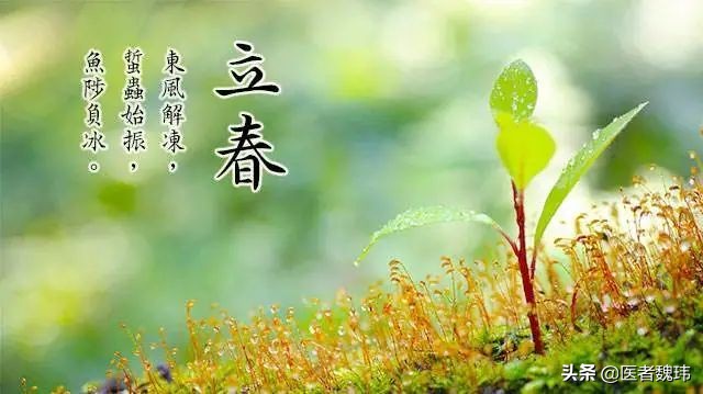 立春｜春已归，花香味熏人欲醉